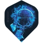 Preview: DATADART ARCIS Standard Flight No2